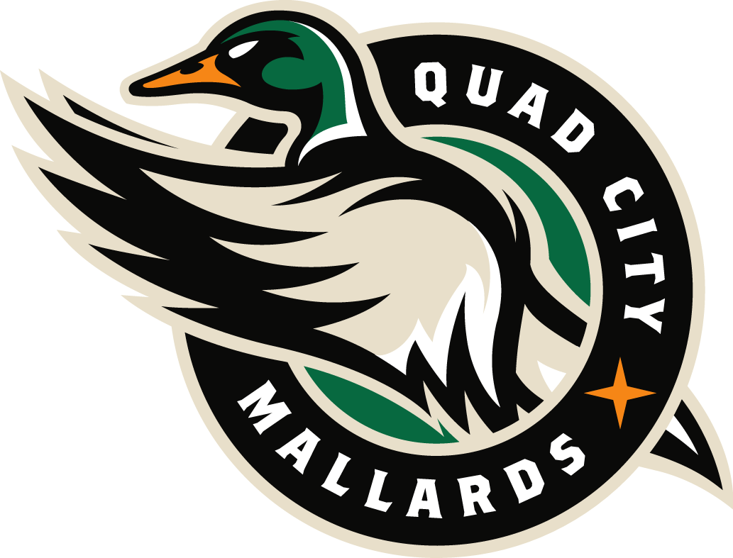 quad city mallards 2014-pres primary logo iron on transfers for clothing